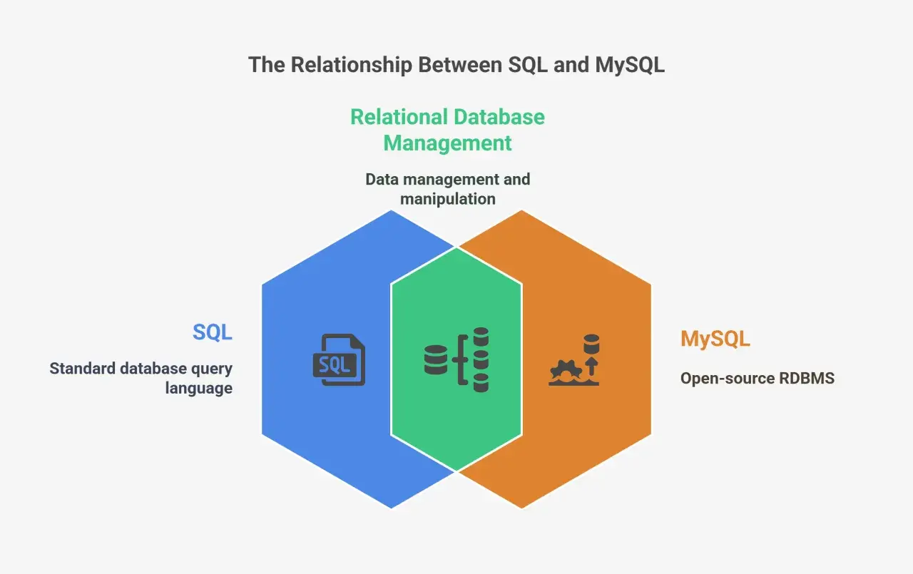 Schéma illustrant la relation entre SQL (langage de requête) et MySQL (SGBDR open-source), soulignant leur rôle dans la gestion des bases de données relationnelles.