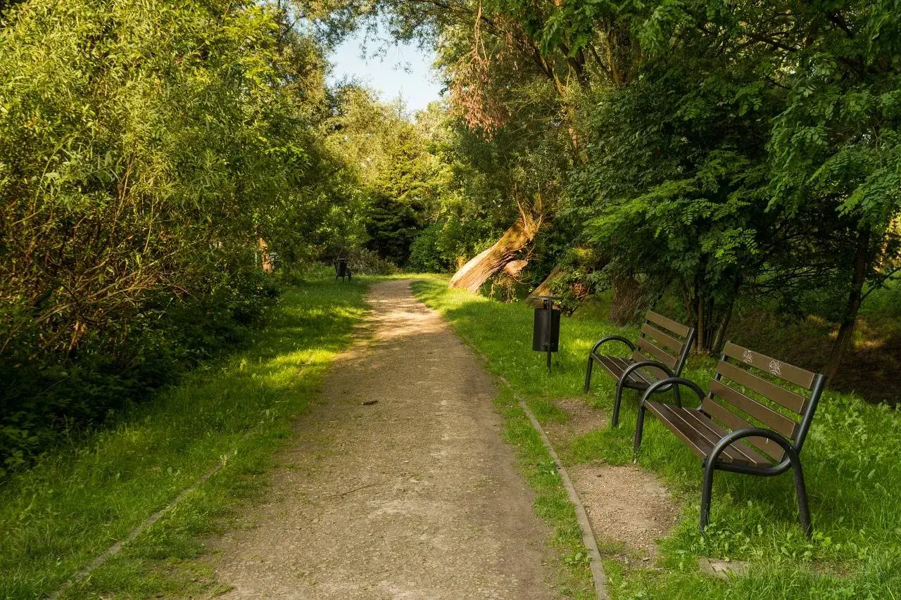 Ścieżka w parku, ławki i kosz na śmieci przy Młynówce Królewskiej.