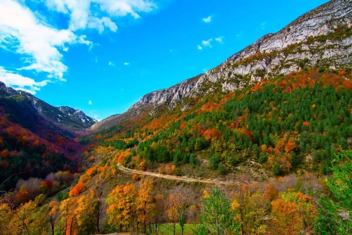 Un camino serpentea por un valle montañoso en otoño, con árboles de colores vibrantes que cubren las laderas. El cielo azul intenso y las nubes blancas completan la escena del **Cadí Moixero**.