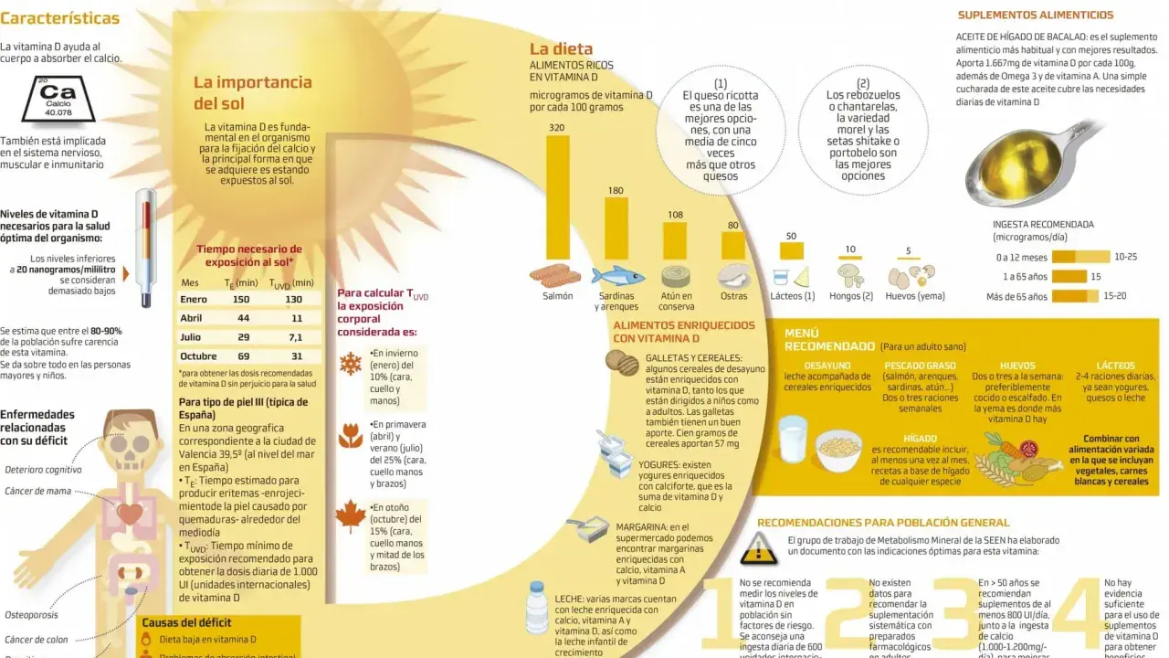 Infografía sobre la vitamina D, sus fuentes (sol, dieta, suplementos) y su importancia para niños y adultos.
