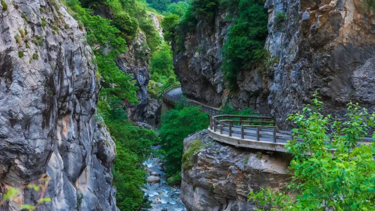 Un camino serpentea por un desfiladero en los Picos de Europa, flanqueado por imponentes paredes rocosas y vegetación exuberante.