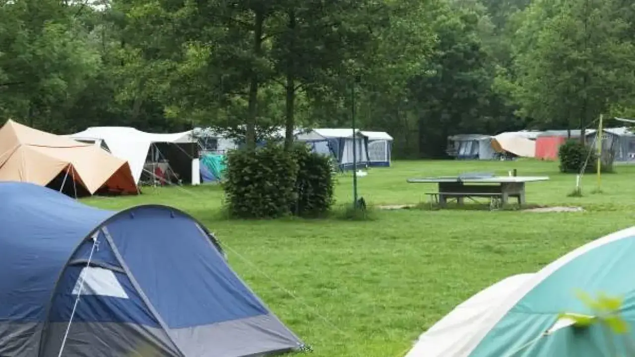 Un camping verde con varias tiendas de campaña y caravanas. Un lugar ideal para disfrutar de los mejores camping de España.