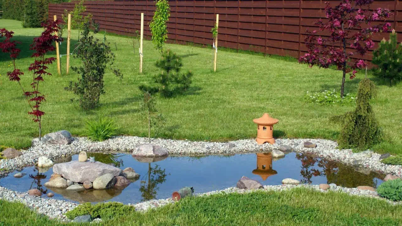 Un étang paisible avec des pierres, une lanterne japonaise et une plante bassin ornementale.