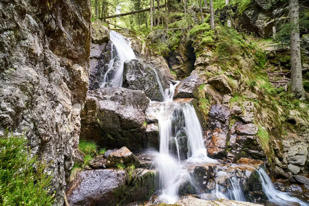 Ein malerischer zwiesel wasserfall stürzt über moosbewachsene Felsen in einem dichten Wald.