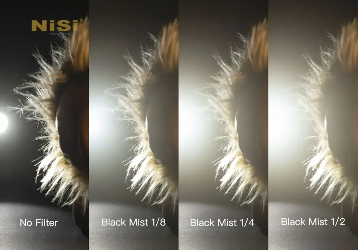 Porównanie efektów: brak filtra, filtr black mist 1/8, 1/4 i 1/2 na futrzanym obiekcie.