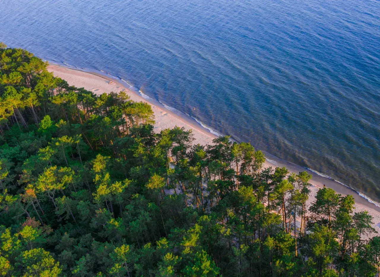 Piękna plaża i las nad Bałtykiem, idealne miejsce na wakacje w stylu naturyzm Polska.