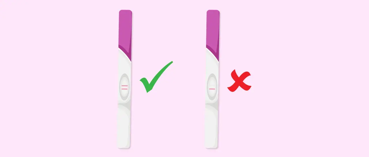 Deux tests de grossesse : un positif (deux barres roses) avec une coche verte, et un négatif (une barre rose) avec une croix rouge.