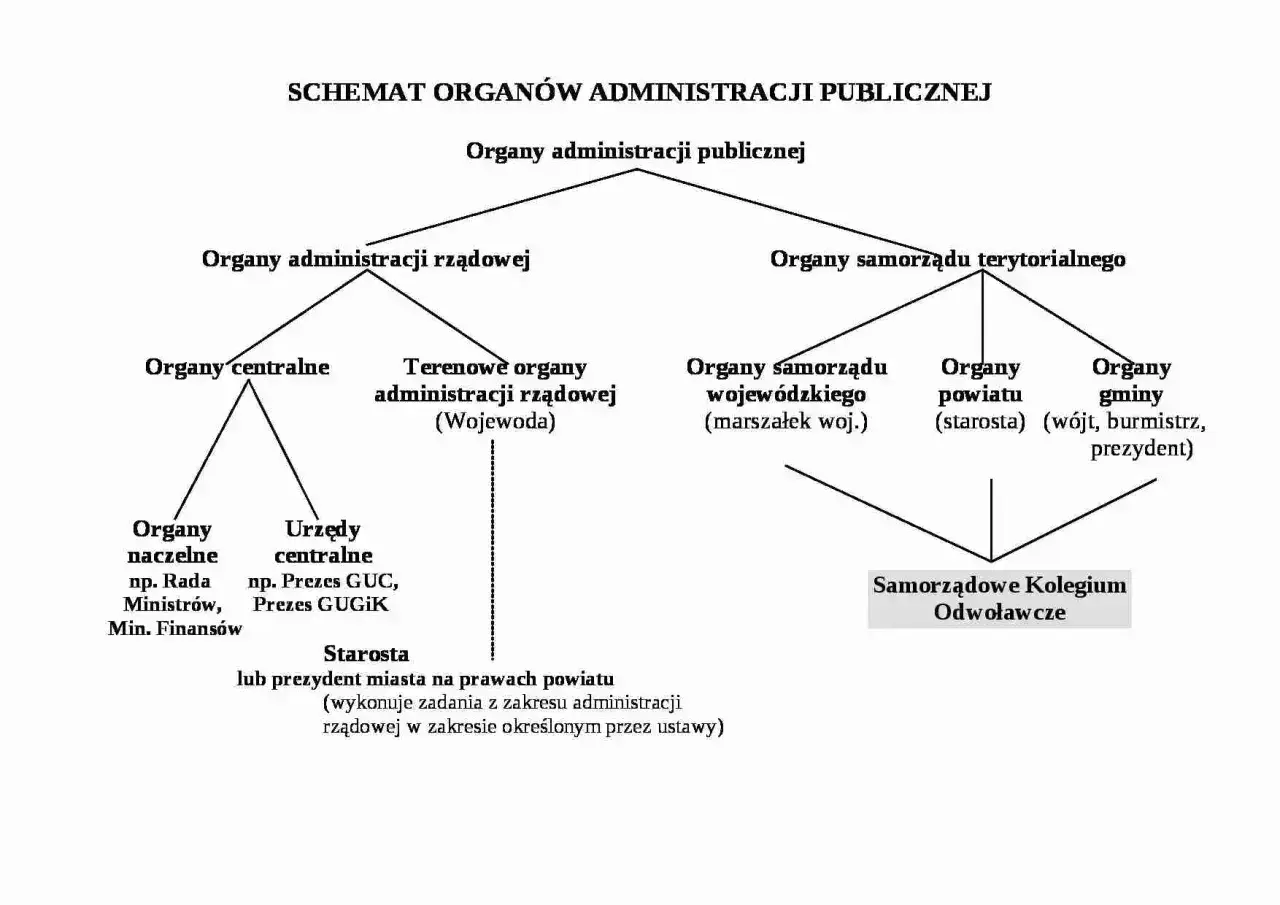 Schemat organów administracji publicznej: kiedy burmistrz, kiedy prezydent, a kiedy starosta.