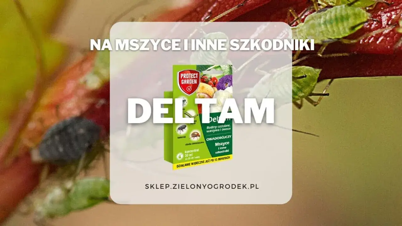 DELTAM insektycyd na mszyce i inne szkodniki. Opakowanie produktu Protect Garden z opisem działania na rośliny ozdobne, warzywa i owoce.