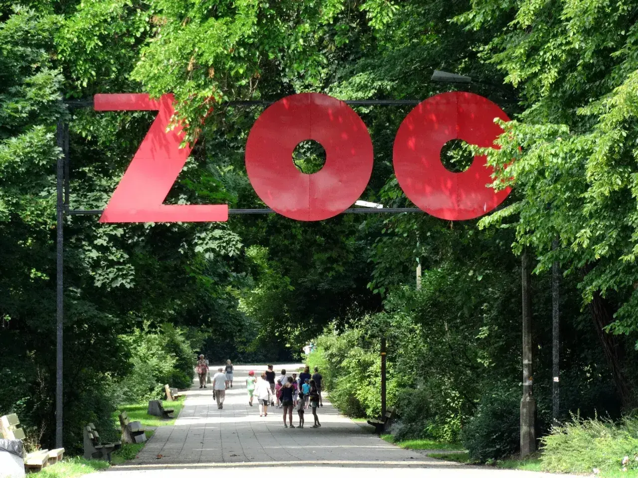 Wejście do największego zoo w Polsce. Czerwony napis "ZOO" nad alejką pełną zieleni, którą spacerują ludzie.