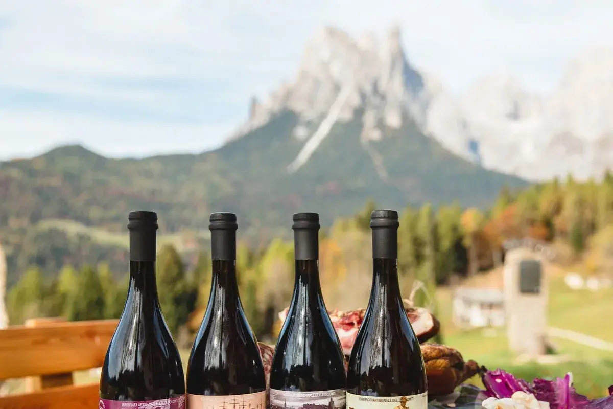 Quattro bottiglie di vino scuro, con un paesaggio montano sullo sfondo. Sembra un'ottima degustazione, magari con un buon **teddy bier** per accompagnare.