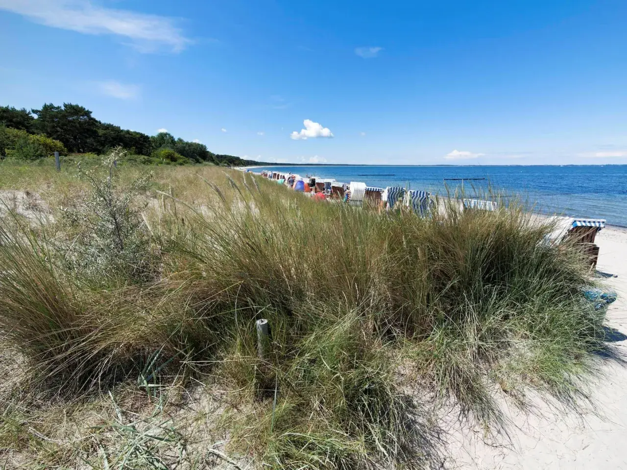 Strandgras und Strandkörbe am Ostseestrand. Perfekt zum baden Ostsee und Entspannen.