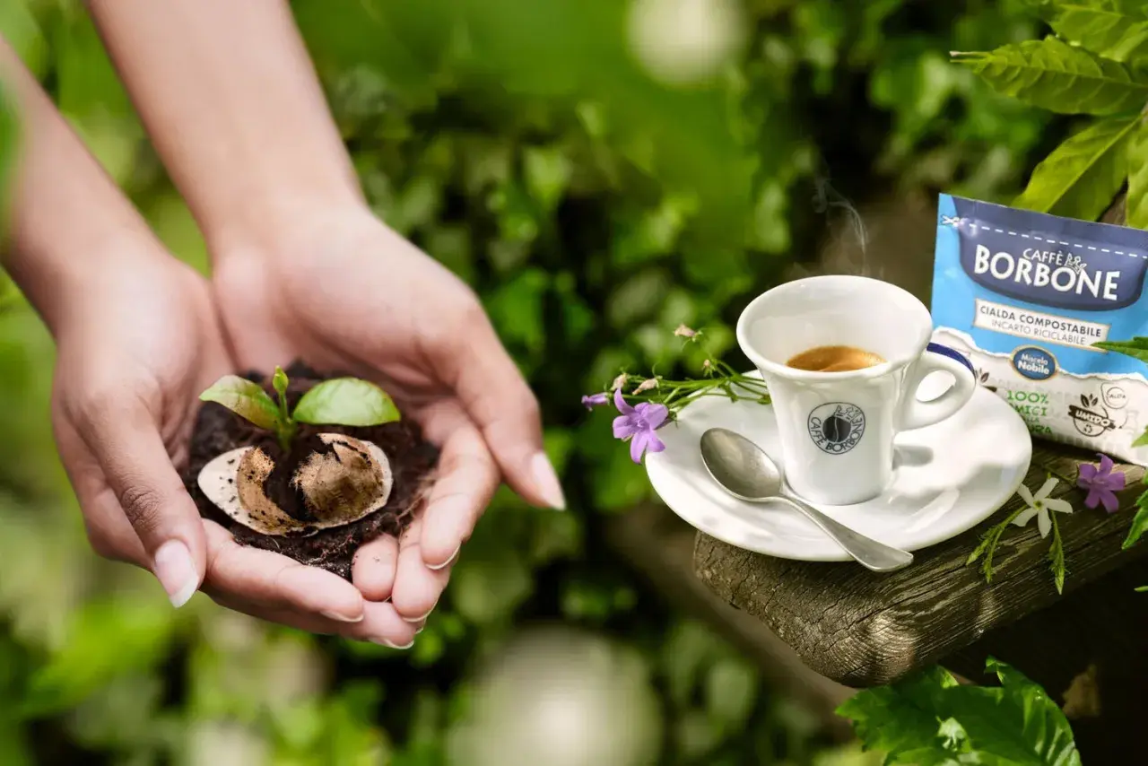 Mani che sorreggono un germoglio nato da fondi di caffè per basilico, accanto a un espresso Borbone.