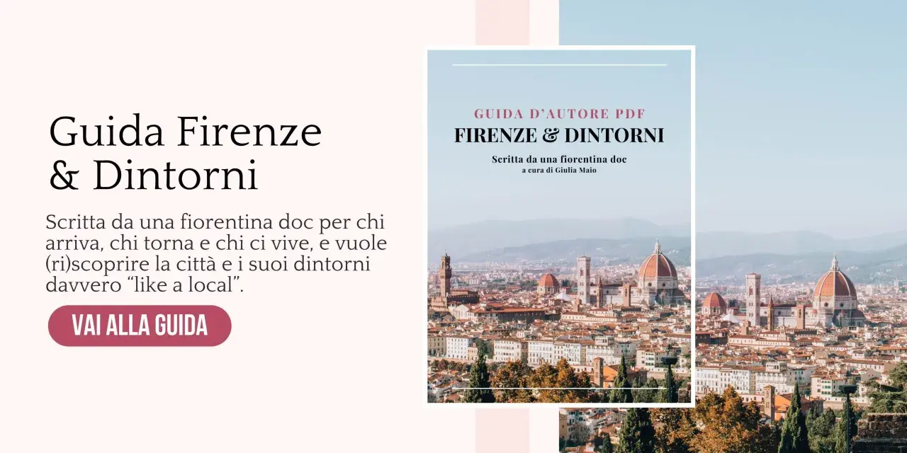 Scopri Firenze e dintorni con una guida locale. Perfetta per chi visita o vive la città, per un'esperienza autentica. Ideale per chi cerca una visita cantine Firenze.
