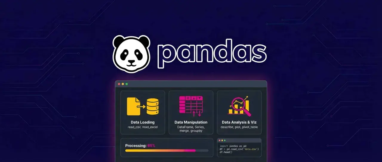 Interface de programmation pour l'analyse de données avec pandas. Chargement, manipulation et visualisation de données.