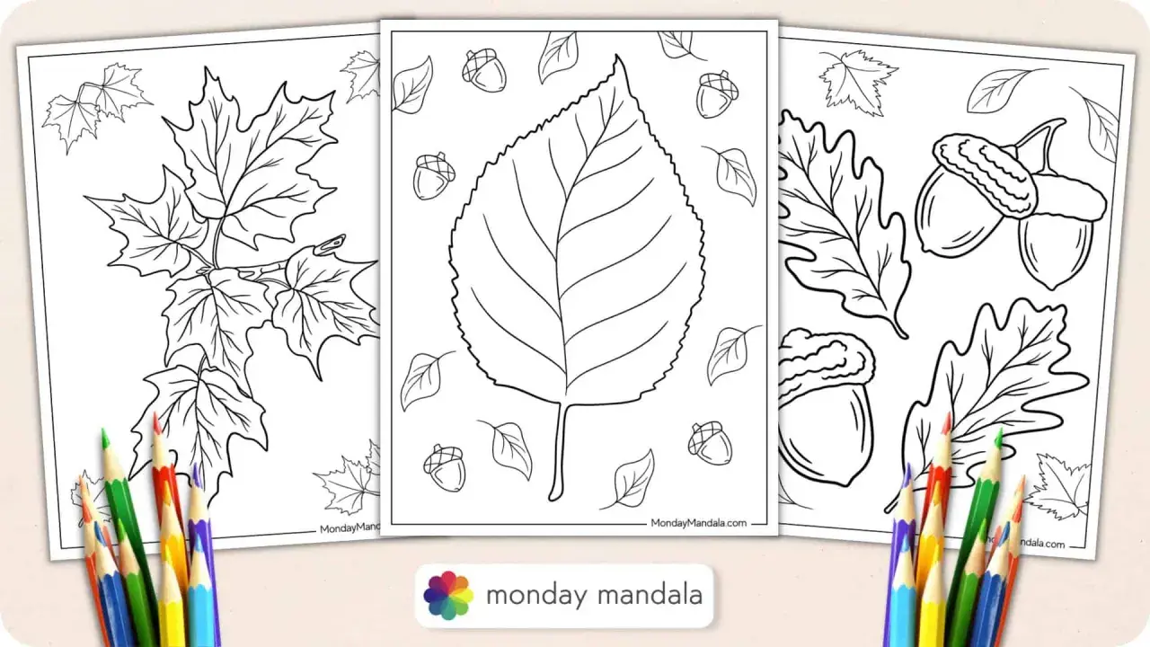 Páginas para colorear de otoño con hojas de arce, bellotas y una gran hoja central. ¡Perfecto para una actividad de hoja de otoño colorear!