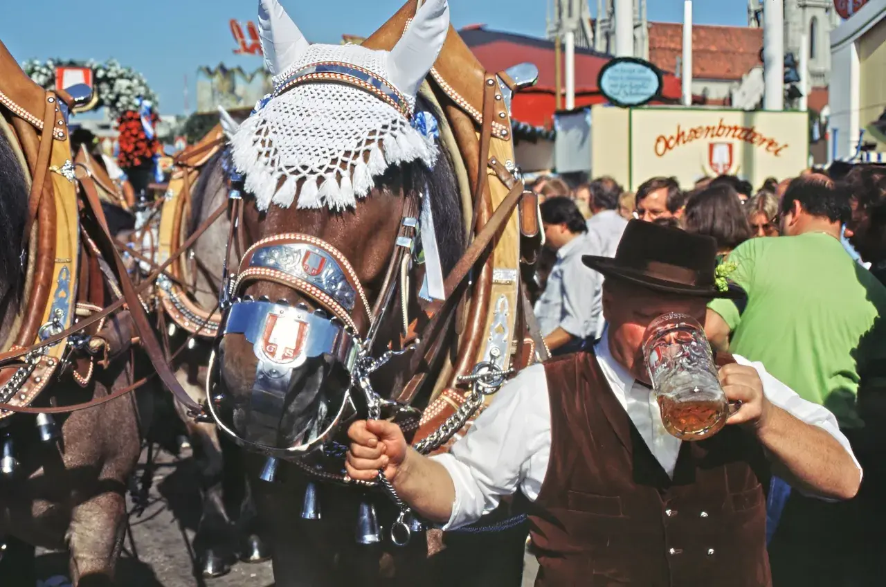 Prachtvolle Pferde mit Trachtenschmuck, ein Mann im Lederhosen-Look trinkt Bier. Ein typischer Hintergrund Oktoberfest-Stimmung.