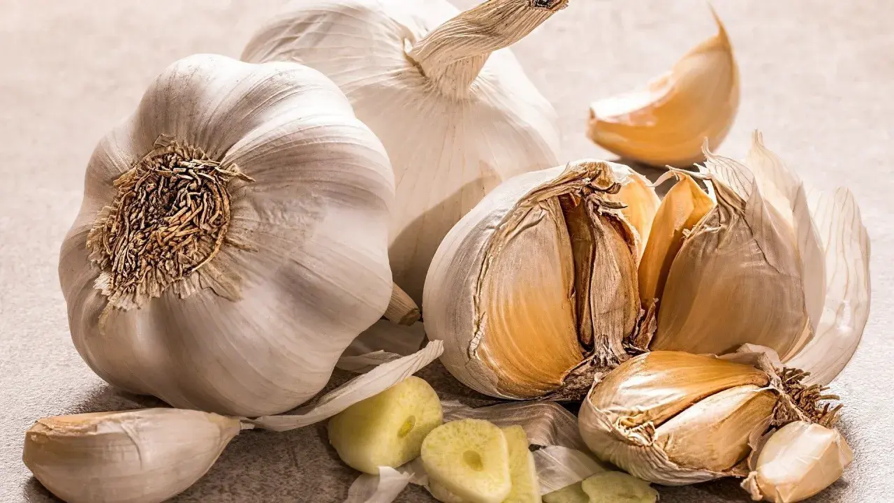 Mehrere Knoblauchzehen und ganze Knoblauchköpfe liegen auf einer grauen Oberfläche. Die Frage, wie lange ist Knoblauch haltbar, wird hier visuell beantwortet.