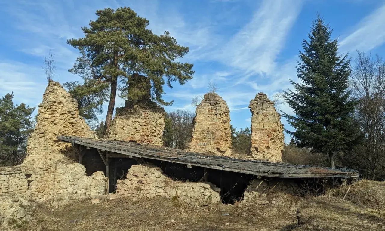Kamienne ruiny zamku nad Jeziorem Rożnowskim, z fragmentem drewnianego dachu i sosną.