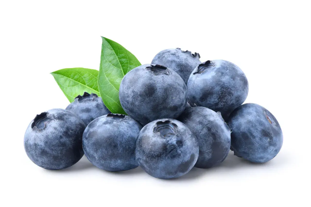 Mirtilli freschi con foglie verdi. Un frutto con basso indice glicemico, ideale per una dieta sana.