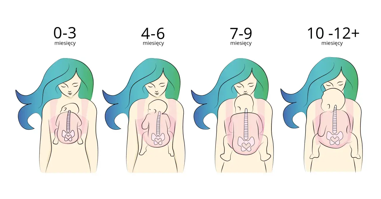 Ilustracje pokazują, jak nosić noworodka w różnym wieku: od 0-3 miesięcy do 10-12+ miesięcy.