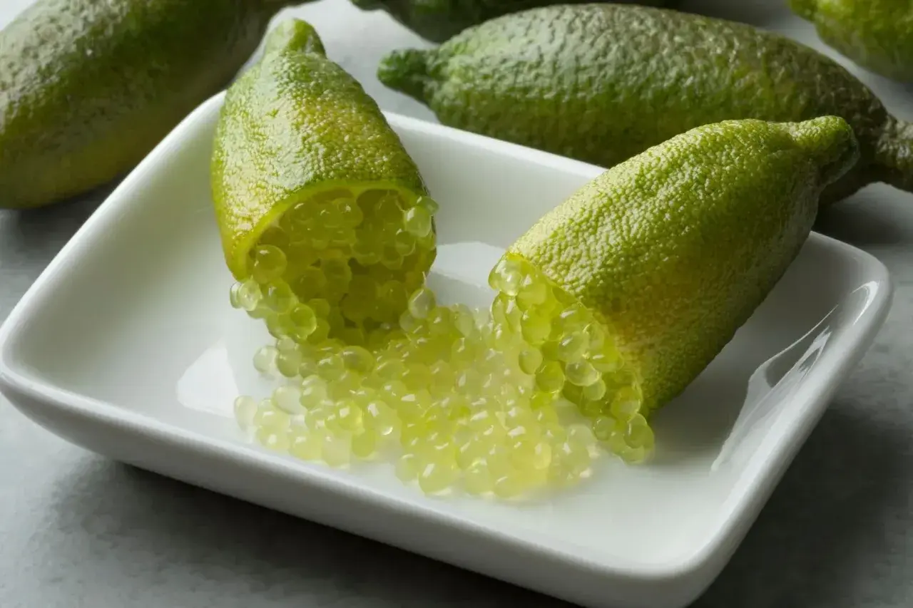 Citronnier caviar : des fruits verts allongés ouverts révèlent leurs perles juteuses sur une coupelle blanche.