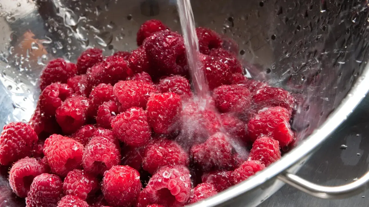 Frische Himbeeren werden in einem Sieb unter fließendem Wasser gewaschen, um sie für die Lagerung vorzubereiten und **frisch zu halten**.