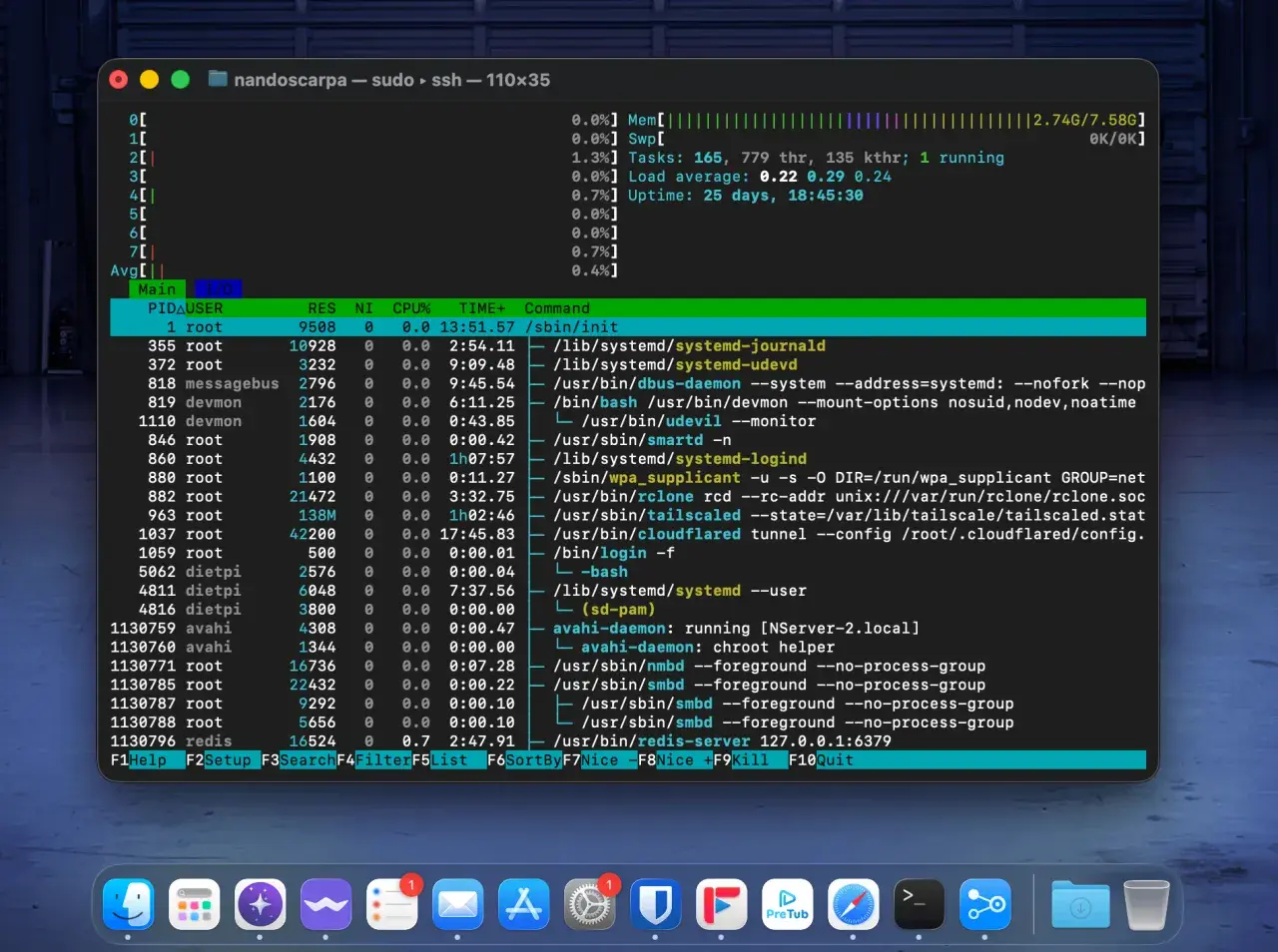 Terminal mit laufenden Prozessen, Systeminformationen und der Auslastung des **nas os**.