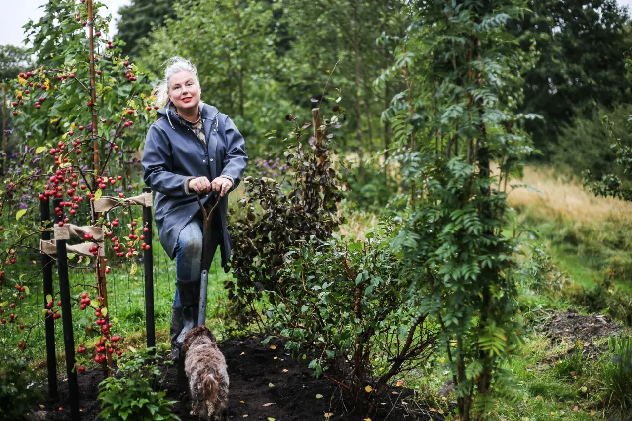 Kvinna med spade och hund i trädgården, inspiration för perennrabatt.