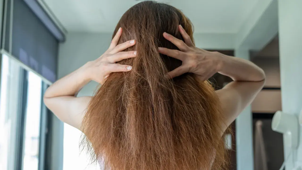 Manos revolviendo el pelo encrespado de una mujer, mostrando la textura seca y desordenada.