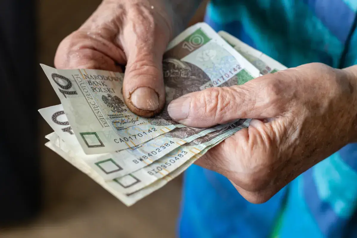 Dłonie starszej osoby trzymają polskie banknoty dziesięciozłotowe.
