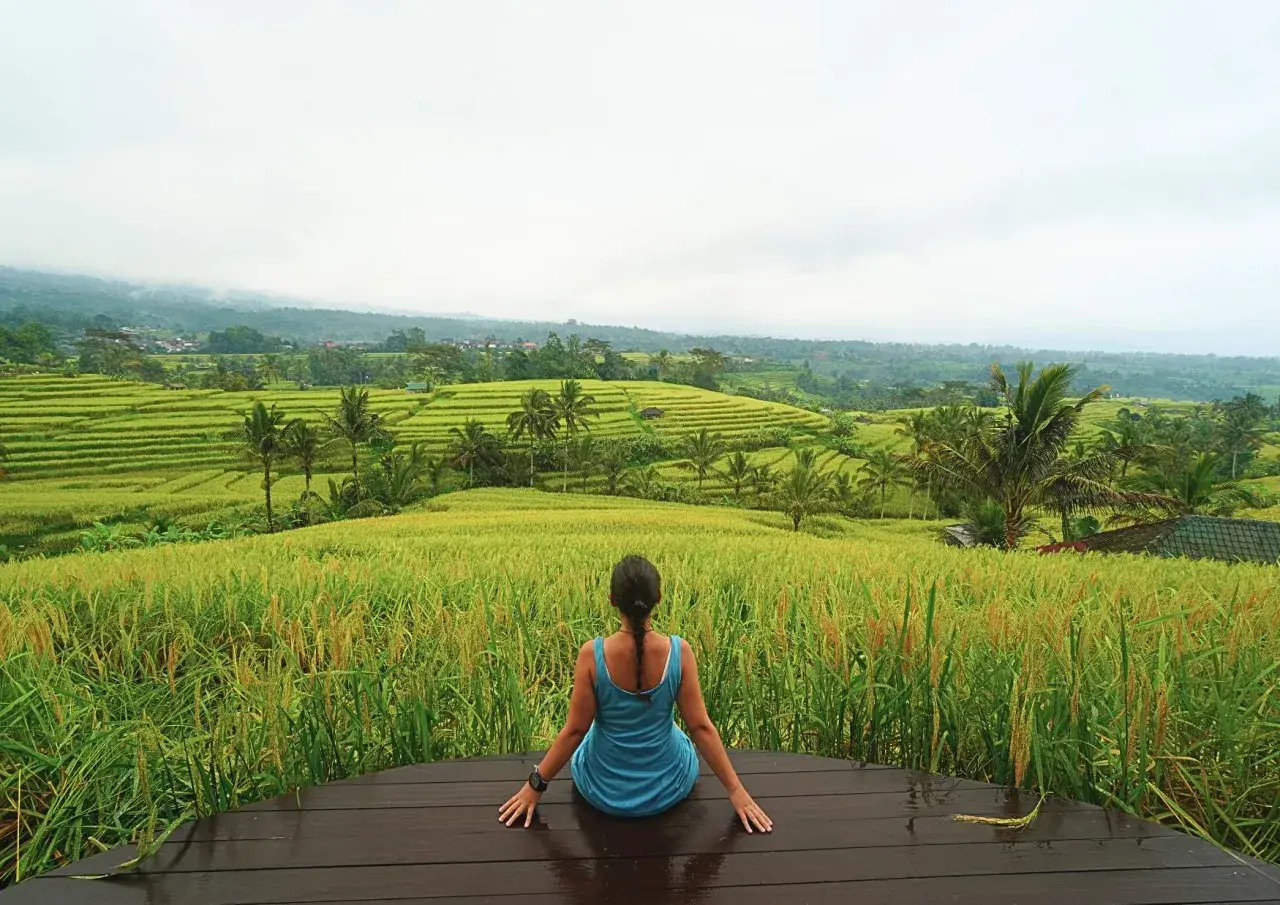 Mujer contemplando terrazas de arroz verde y dorado en Bali. Una vista espectacular para saber qué hacer en Bali.