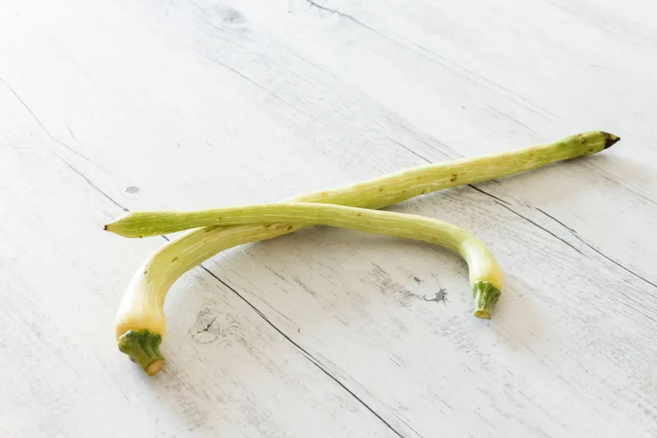 Due zucchine trombetta, lunghe e curve, giacciono su un tavolo di legno chiaro.