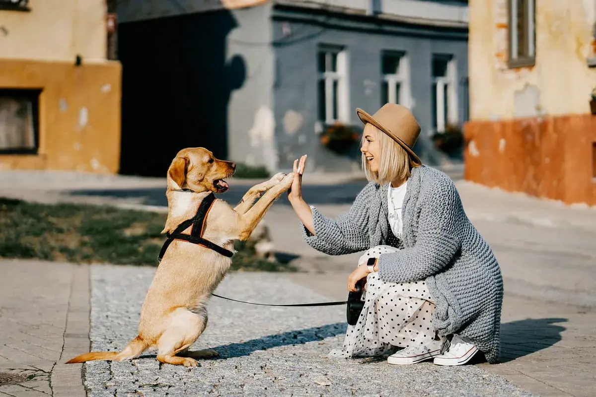 Mujer y perro se dan la mano, un momento tierno que nos hace pensar en cuanto cuesta mantener un perro.