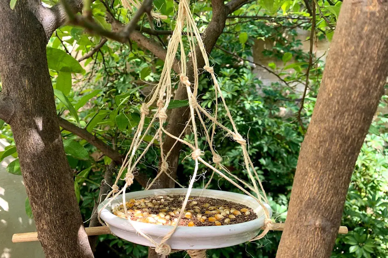 Comedero para pájaros hecho a mano, colgando entre árboles. Semillas y maíz esperan a los visitantes.