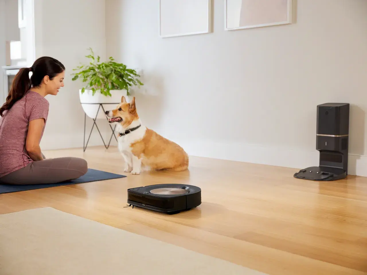 Jaki iRobot Roomba wybrać? Poradnik: idealny model dla Twojego domu
