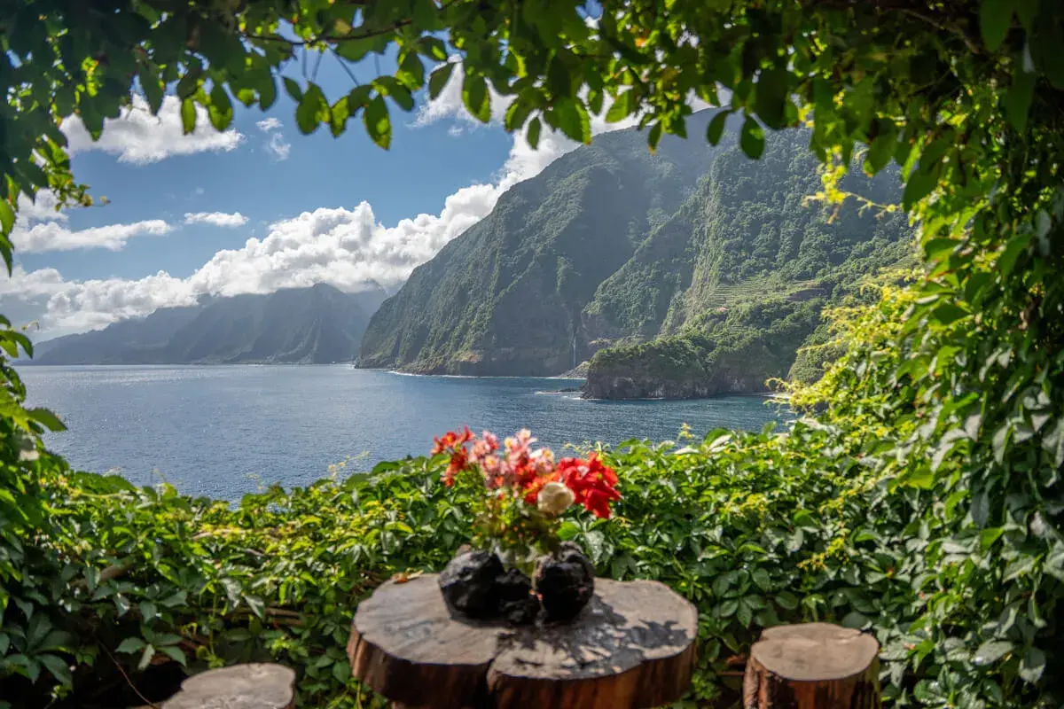 Blumenstrauß auf Baumstamm mit Blick auf die dramatischen Madeira Highlights: steile, grüne Küstenberge und das blaue Meer.