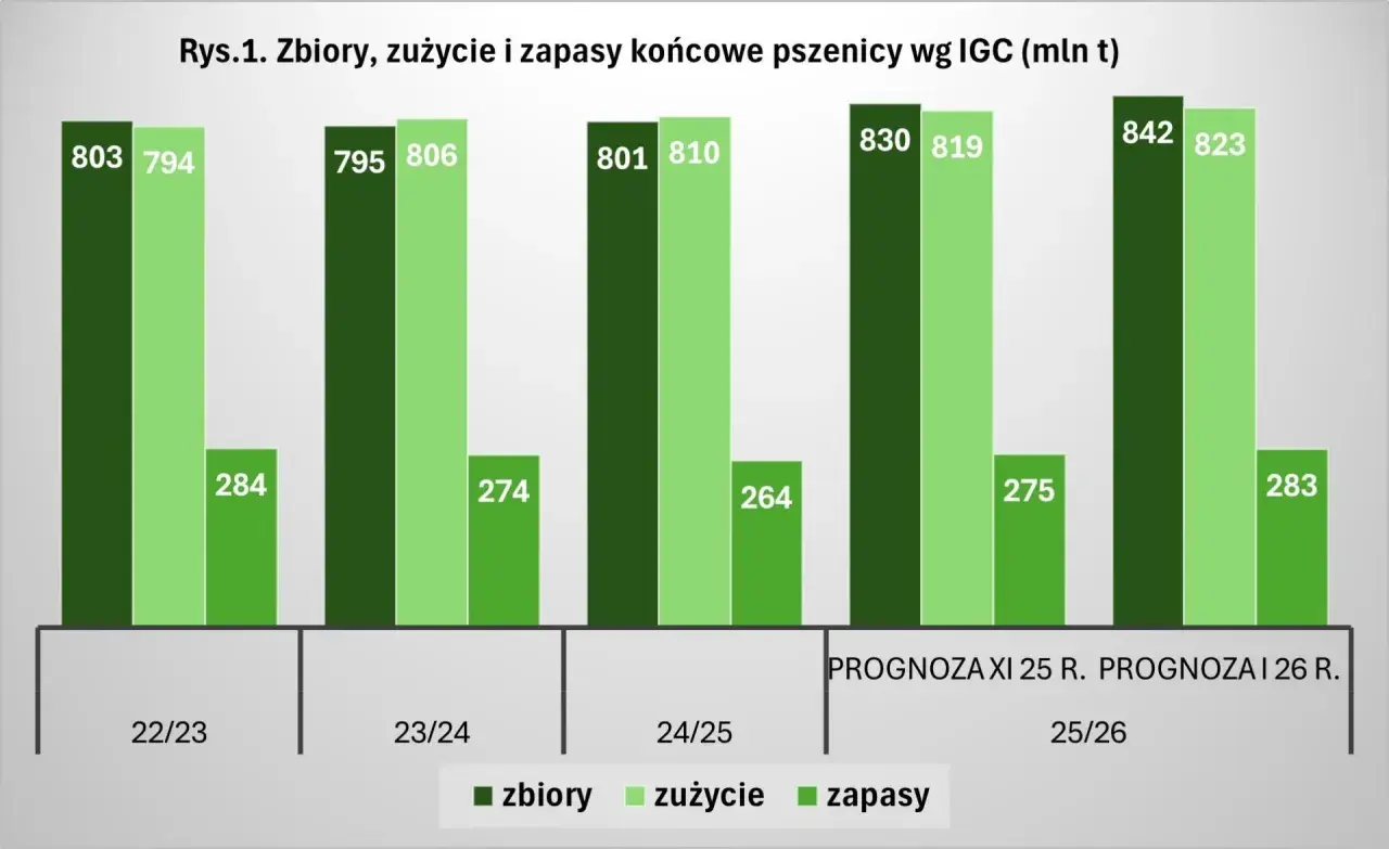 Wykres pokazuje prognozy zbiorów, zużycia i zapasów pszenicy. Czy ceny zbóż wzrosną? Zobacz dane!