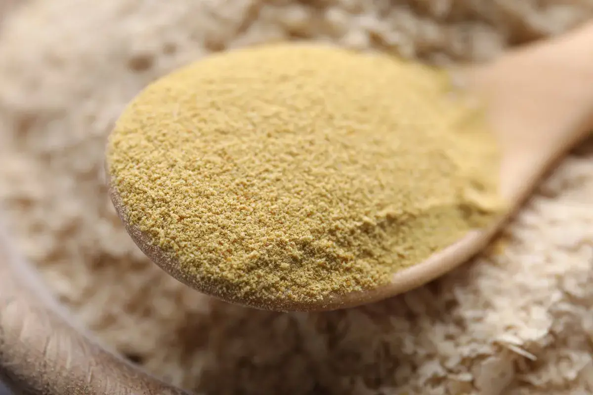 Une cuillère en bois remplie de levure de bière en poudre, jaune pâle. La question "la levure de bière fait elle grossir ?" plane.