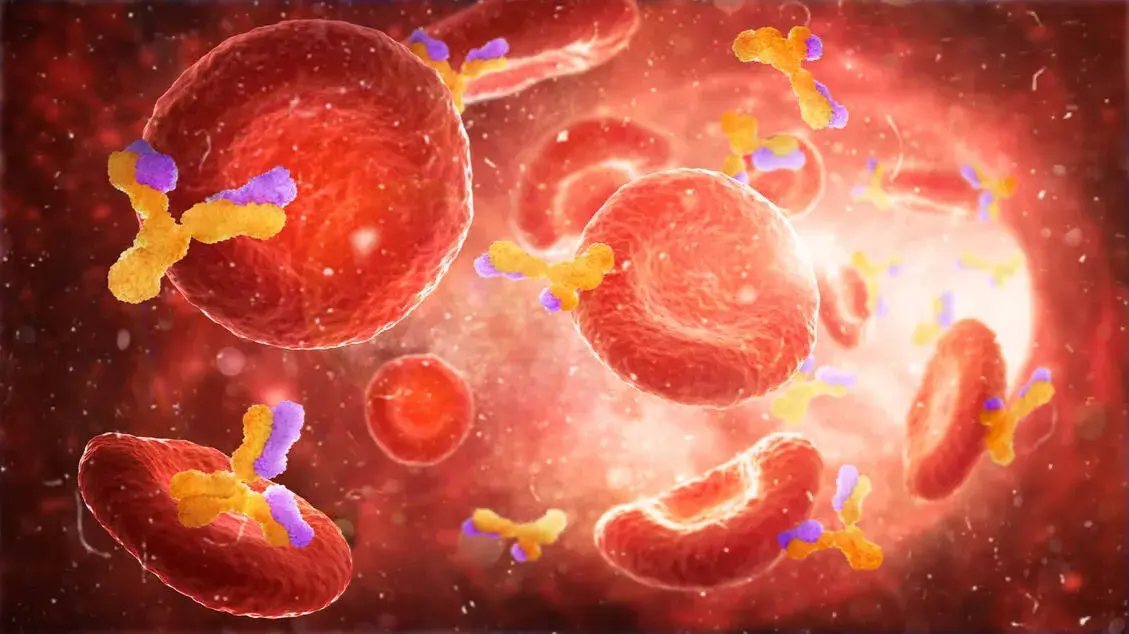 Die komplexe Diagnostik von Autoimmunerkrankungen verstehen