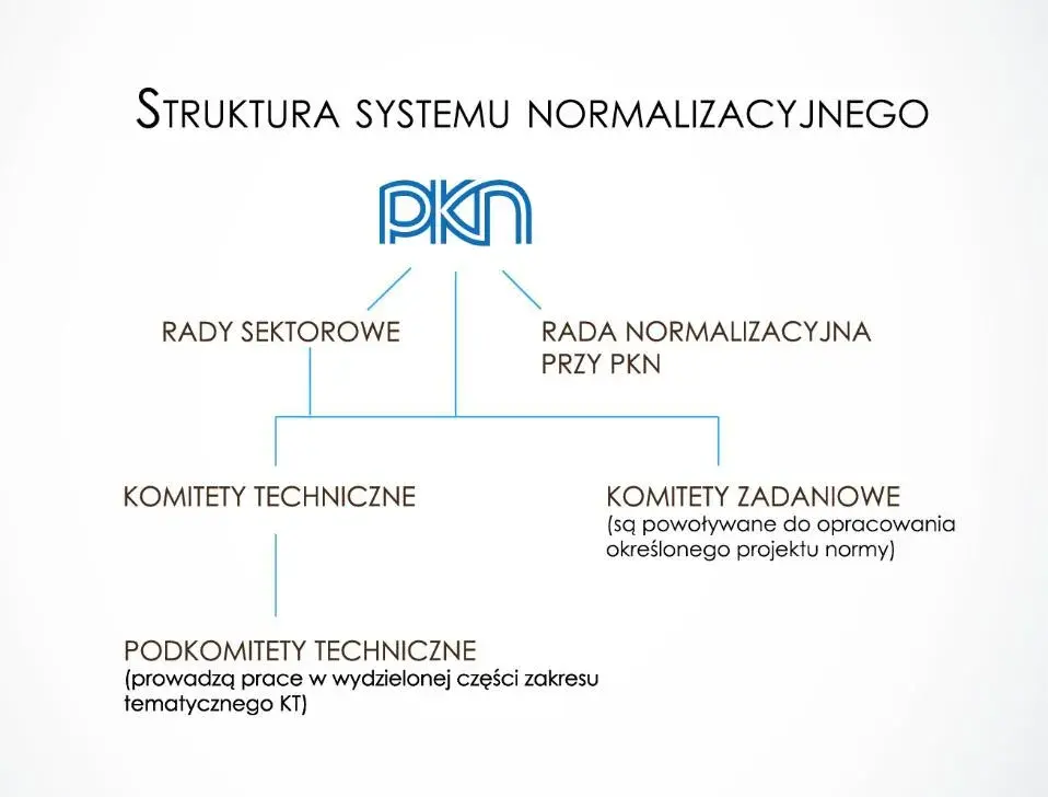 Normalizacja: Co to jest i jakie ma znaczenie dla Ciebie?