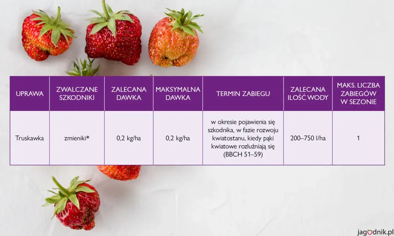 Oprysk na truskawki przeciw zmienikom: zalecana dawka 0,2 kg/ha, termin zabiegu w fazie rozwoju kwiatostanu.