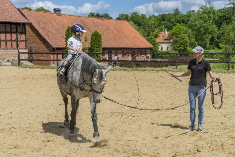 Stadnina koni Pomorskie – najlepsze stajnie i jazda konna w regionie