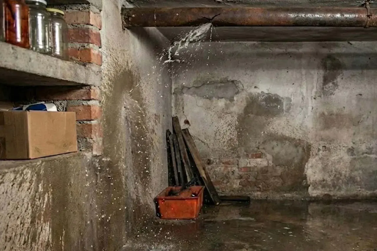 W piwnicy widać pękniętą rurę, z której cieknie woda. Na półce stoją słoiki, a obok karton.