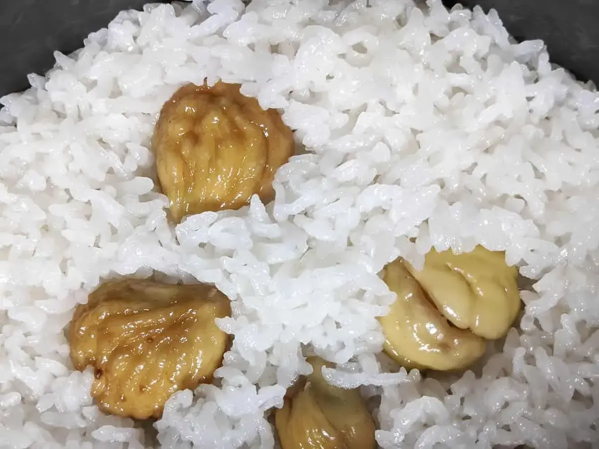 A close-up of fluffy white rice with sweet, glazed chestnuts scattered throughout. This chestnut rice looks delicious and comforting.