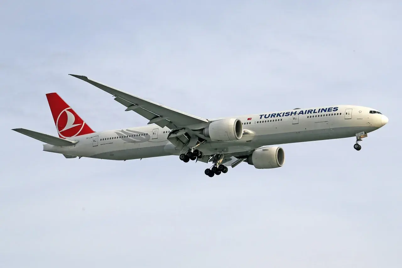 Samolot Turkish Airlines z wysuniętym podwoziem, gotowy do lądowania. W luku bagażowym czeka już bagaż pasażerów.