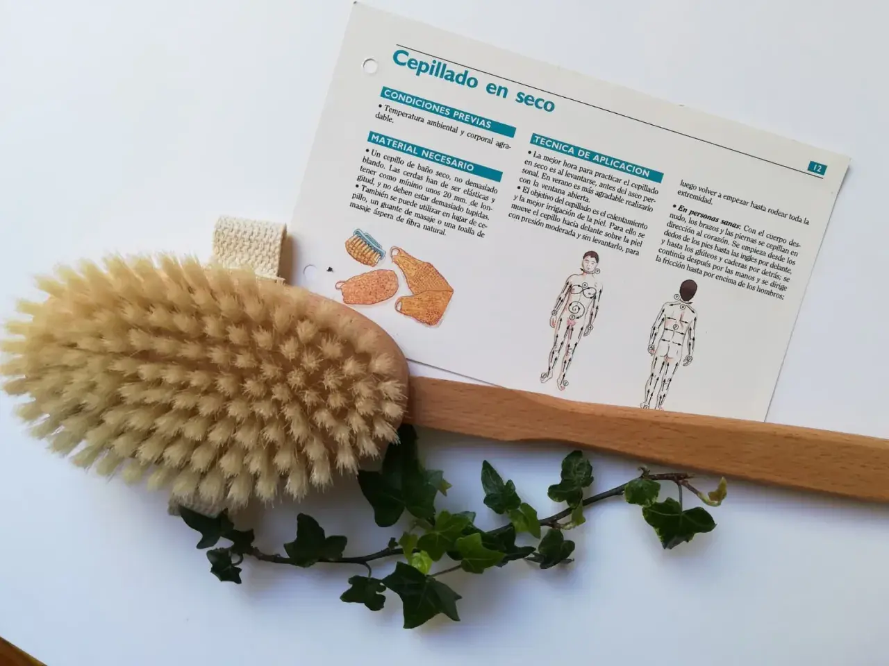 Cepillo de madera con cerdas naturales y hojas de hiedra, junto a un folleto sobre cepillado en seco.