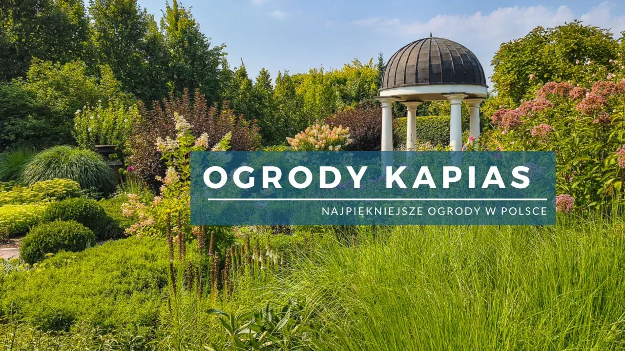 Ogrody Kapias – piękne, zielone zakątki z altaną. Sprawdź aktualne ogrody kapias cena biletu i zaplanuj wizytę!