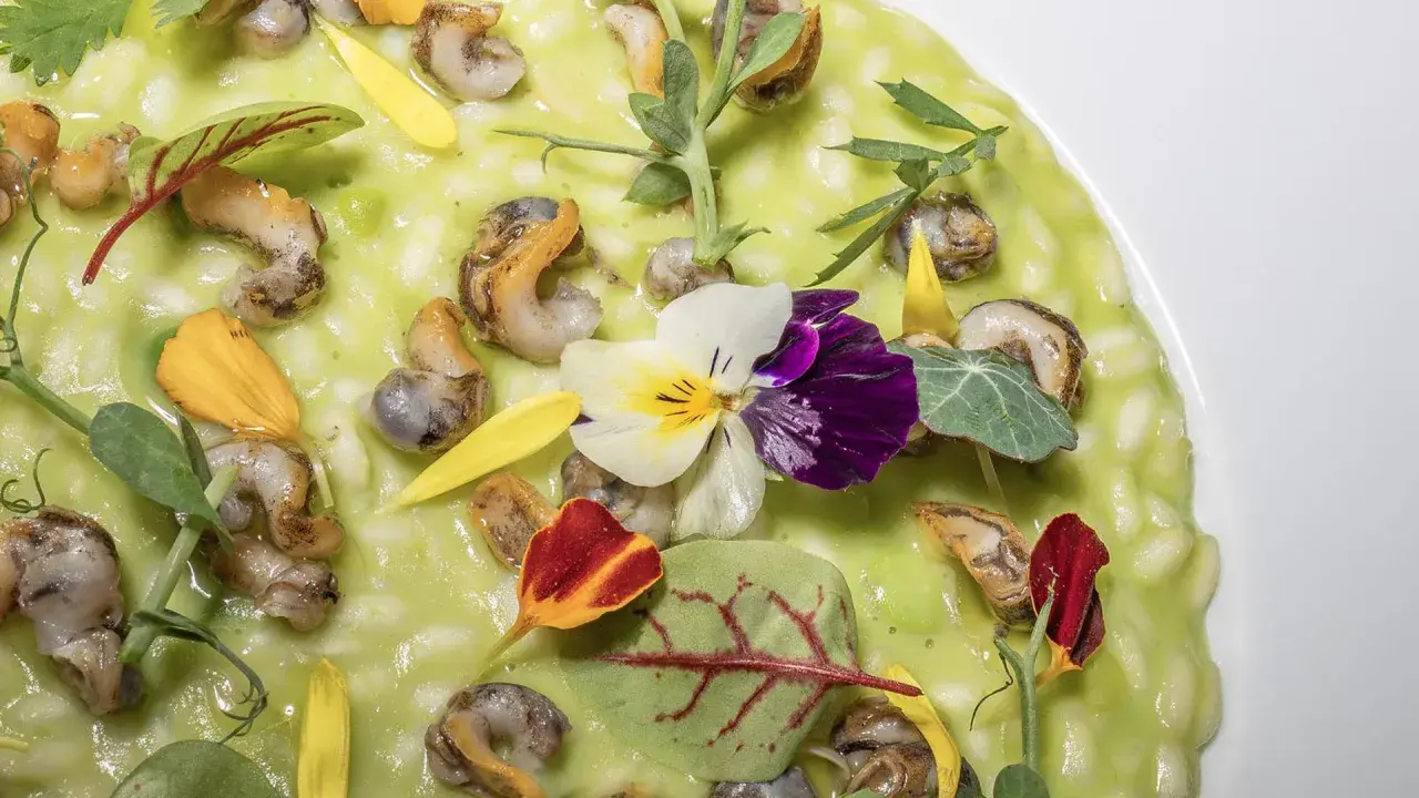 Un risotto verde brillante con lumachine, fiori eduli e petali gialli. Un prato città in miniatura, un'opera d'arte commestibile.