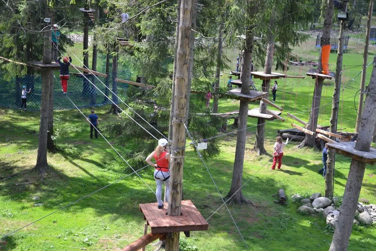 Park Linowy Niedzica: Sprawdź trasy, ceny i atrakcje dla rodzin